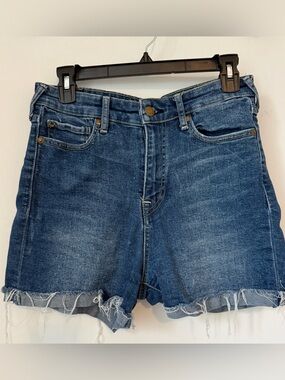 True Religion Jennie Curvy cut off shorts Size 29 High Rise